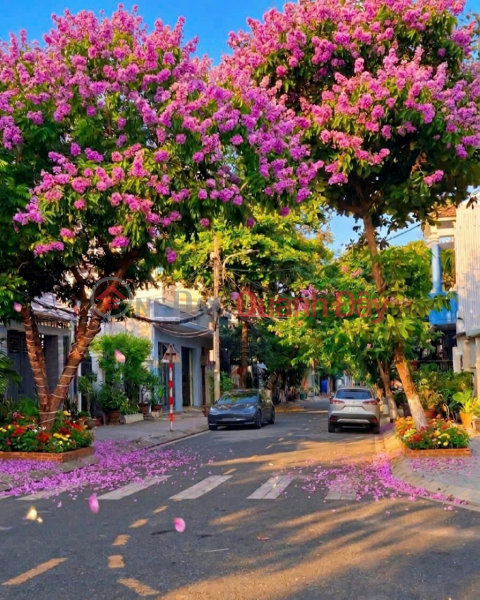 đ 15 tỷ, ĐẦU TƯ SINH LỜI – CHÍNH CHỦ CẦN BÁN ĐẤT Tại Phường Thanh Khê Tây, Quận Thanh Khê, Đà Nẵng