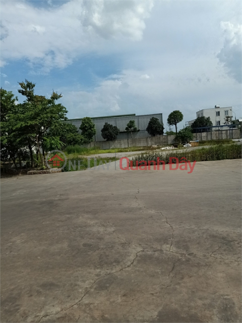 Transferring 3ha of industrial land in Phu Xuyen District, Hanoi City, already have a red book, land with annual payment _0