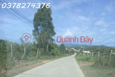Chính chủ cần bán đất nông nghiệp tại xã Tân Định, Khánh Hòa, DT 15.000m2, giá đầu tư _0