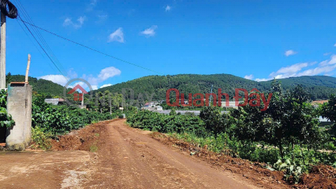 Beautiful Land - Good Price - Owner Needs to Sell a Plot of Land in a Beautiful Location in Ta Nung Commune - Da Lat, Lam Dong _0