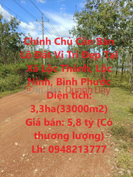 Owner Needs to Sell Land Lot with Beautiful Location in Loc Thanh Commune, Loc Ninh, Binh Phuoc Sales Listings