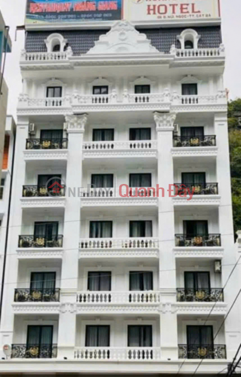 HIGH-PROFIT INVESTMENT OPPORTUNITY: HOTEL FOR SALE ON NUI NGOC ROAD, CAT BA. _0