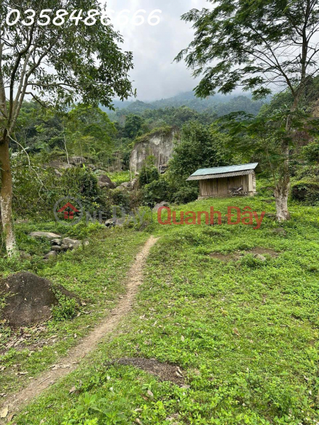đ 3.6 Billion Owner needs to sell 40,000m2 of land for eco-tourism resort in Luc Binh commune, Bac Kan province, price only 3txyz