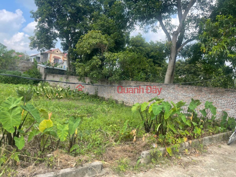 Property Search Vietnam | OneDay | Nhà ở Niêm yết bán, CHỦ CẦN BÁN GẤP LÔ ĐẤT ĐẸP 412M TẠI THỦY XUÂN TIÊN-CHƯƠNG MỸ-HÀ NỘI