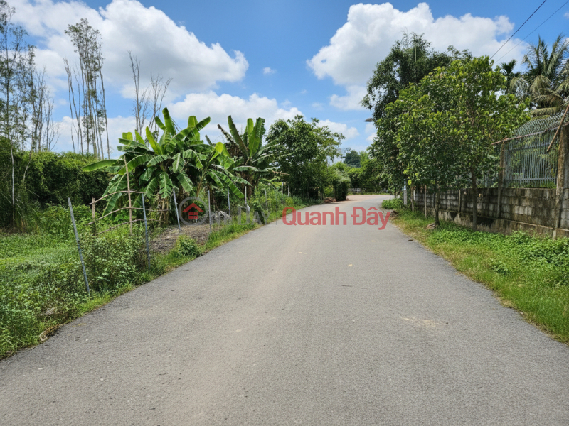 Property Search Vietnam | OneDay | Nhà ở Niêm yết bán, O1948 1040m2 đất Mặt tiền Nhị Bình 17, SHR, 9.x tỷ