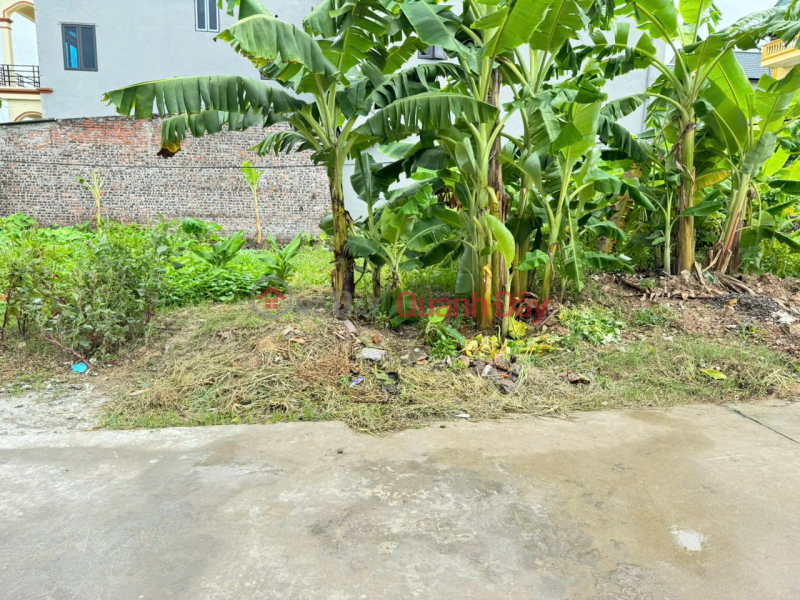 Property Search Vietnam | OneDay | Nhà ở Niêm yết bán, Bán đất thôn Phù Trì, Kim Hoa, Mê Linh. Đường thông, oto đỗ. Nằm sát đường vành đai 4