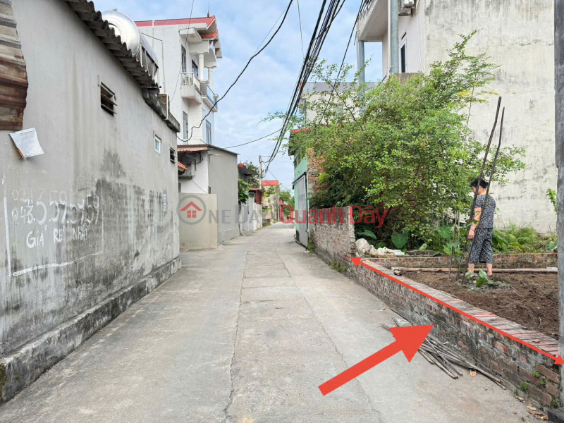 Bán đất thôn Ấp Tre (Tổ 9 cũ),xã Quang Minh. Đường thông, ô tô đỗ. Vị trí gần KCN cực đẹp, Việt Nam | Bán đ 3,9 tỷ