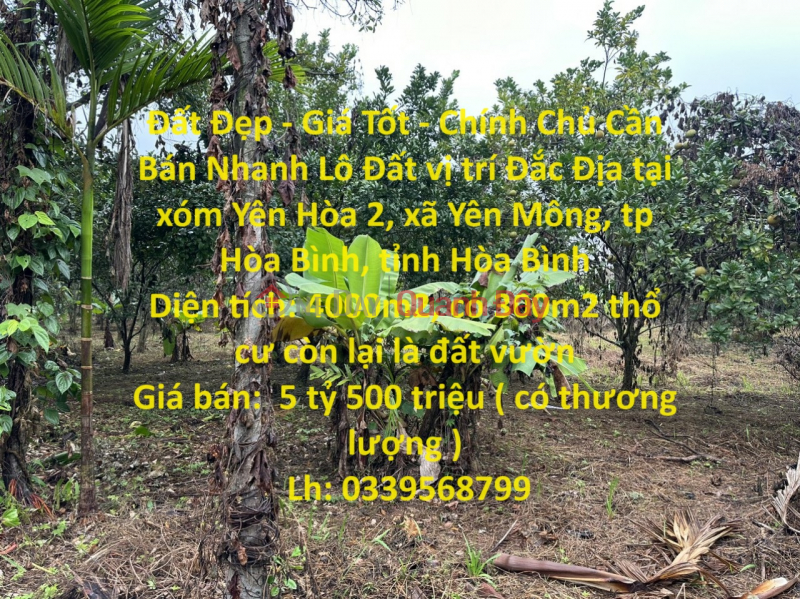 Đất Đẹp - Giá Tốt - Chính Chủ Cần Bán Nhanh Lô Đất vị trí Đắc Địa tại TP Hòa Bình tỉnh Hòa Bình Niêm yết bán