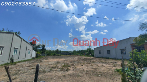 Land 5m x 52m, cheap price, high potential for price increase. _0