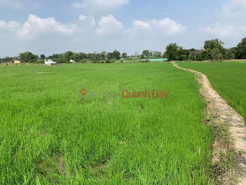 Property Search Vietnam | OneDay | Nhà ở Niêm yết bán, CỰC HOT ! CHÍNH CHỦ HẠ GIÁ CẦN RA NHANH 2 Lô Đất Tại TX Gò Công, Tiền Giang