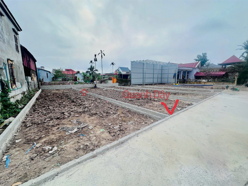 Lô đất trung tâm Cẩm Hoàn – Thanh Sơn – Kiến Thụy, giá đầu tư chỉ 1,4xx tỷ! ZALO 0567 222 555 | Việt Nam, Bán | đ 2,58 tỷ