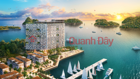 Chỉ từ 650 triệu - sở hữu căn hộ 5 sao, full nội thất view Vịnh Lan Hạ - Đảo ngọc Cát Bà _0