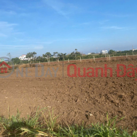 PRIME LAND - GREAT PRICE - OWNER SELLING 4 ADJACENT PLOTS IN TAN HOI COMMUNE, DUC TRONG DISTRICT, LAM DONG PROVINCE _0