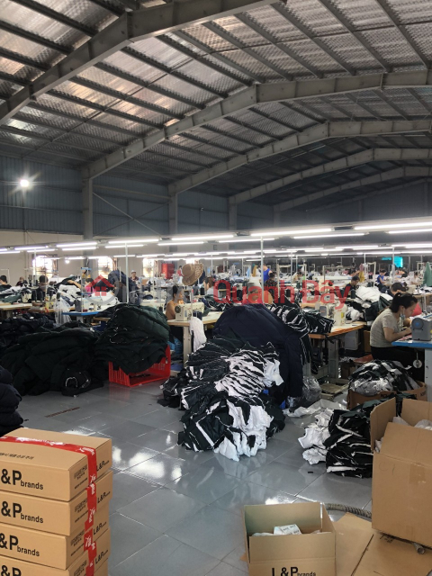 The Owner urgently needs to sell 2,351 m2 of full residential land in Dong Phuong Dong Hung, has a solidly built factory for rent for 140 million\/ _0