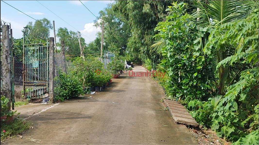 Property Search Vietnam | OneDay | Residential Sales Listings | Need to transfer ground 240m2 dal street frontage, river view in An Hoa ward, Sa Dec, Dong Thap