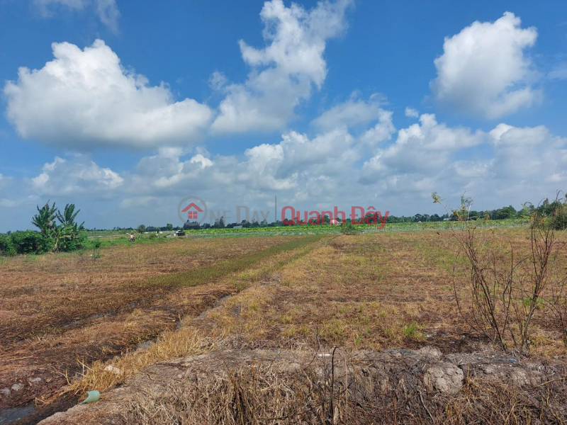 Own 02 Adjacent Land Lots With Beautiful Location In Lai Vung, Dong Thap Sales Listings