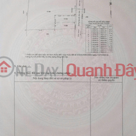 PRIME LAND – GOOD PRICE – OWNER SELLING Located on Nguyen Dinh Kien Street, Tan Nhut Commune, Binh Chanh District, Ho Chi Minh City _0