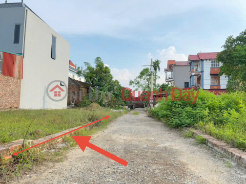 Bán Gấp Lô Đất Đẹp, Mặt Tiền Rộng Hơn 6m - Tiềm Năng X2 Tài Sản Tại Quang Minh _0