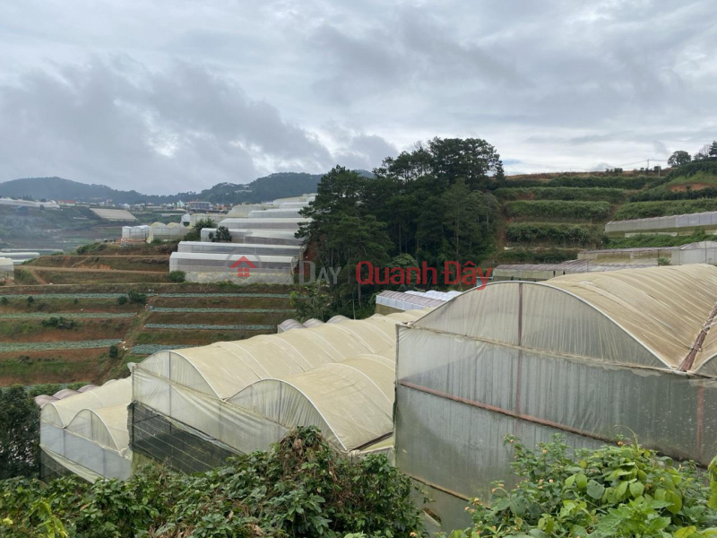 For Sale Urgent Land Lot Beautiful Investment Price In Xuan Tho Da Lat, Lam Dong Sales Listings