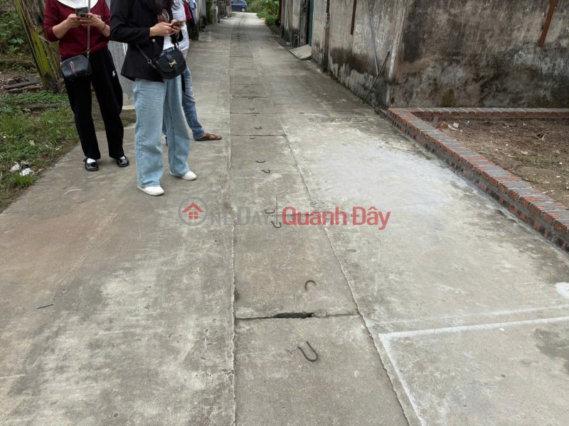 Đất đẹp tổ 9, Quang Minh, Mê Linh. Vị trí đắc địa. Gần trường CD Y Dược Tuệ Tĩnh và KCN Niêm yết bán