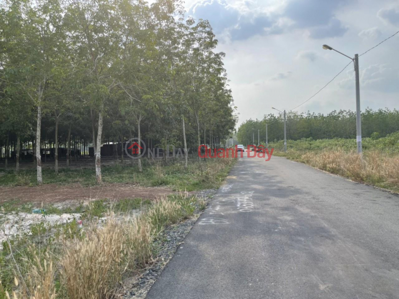 BEAUTIFUL LAND - GOOD PRICE - For Quick Sale 2 Land Lots In Minh Thanh Ward, Chon Thanh Town, Binh Phuoc Sales Listings