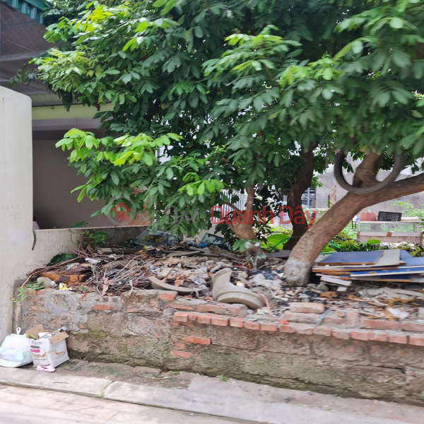 62m2 đất ngõ phố kinh doanh Cửu Việt, Trâu Quỳ, Gia Lâm. 8 tỷ 0xx. Lh 0989894845 Niêm yết bán