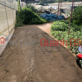 BEAUTIFUL LAND - GOOD PRICE - For Quick Sale Land Lot Prime Location At Van Kiep Street Ward 8 Da Lat _0