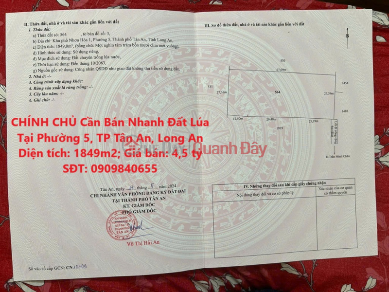 CHÍNH CHỦ Cần Bán Nhanh Đất Lúa Tại Phường 5, TP Tân An, Long An Niêm yết bán