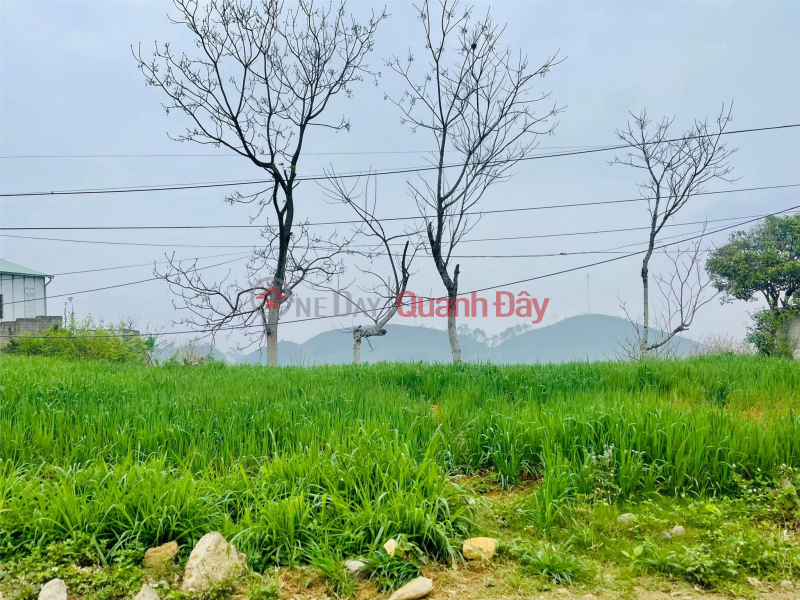 Urgent sale of land in Moc Chau at very good price | Vietnam | Sales, ₫ 111.11 Million