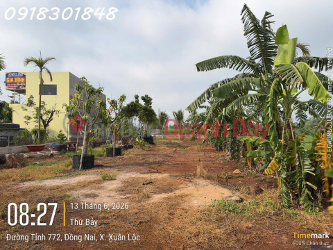 Siêu phẩm đất mặt tiền đường tỉnh lộ 772, Xuân Lộc, Đồng Nai, DT 1.230m2, giá đầu tư _0