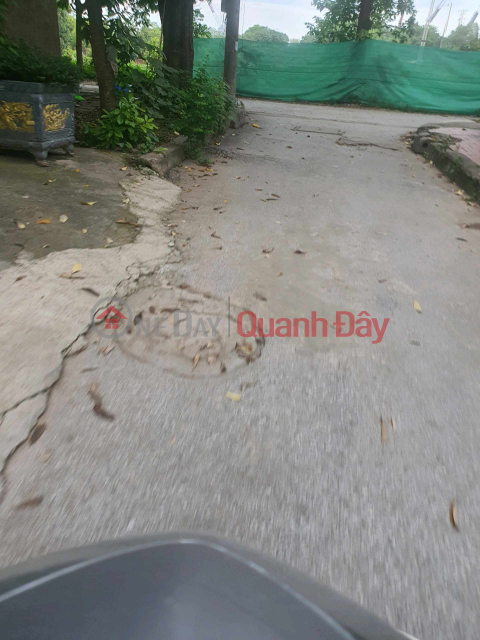 bán gấp mảnh đất này giá rẻ (NGUYENTRONGCHIEN)_0