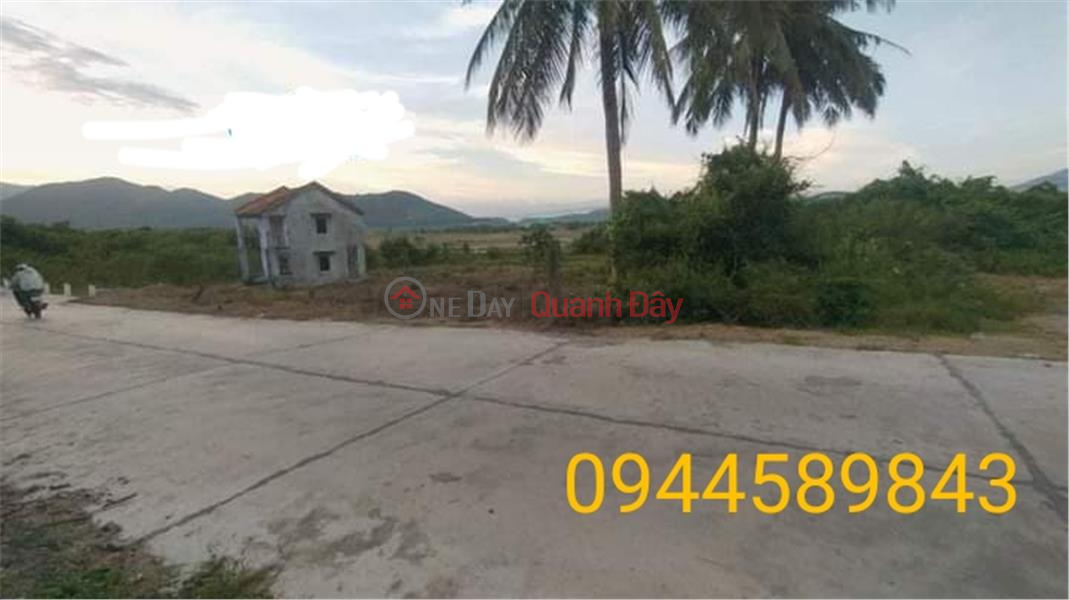 Property Search Vietnam | OneDay | Residential, Sales Listings | BEAUTIFUL LAND - GOOD PRICE - Quick Sale Land Lot Location In Van Thuan Village, Ninh Ich Commune, Ninh Hoa, Khanh Hoa