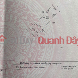 PRIME LAND - GREAT PRICE - Land for Sale in Minh Tân Resettlement Area, Dầu Tiếng, Bình Dương _0