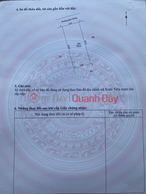 OWNER URGENTLY NEEDS TO SELL A BEAUTIFUL PLOT OF LAND AT A GOOD PRICE – Xuan Vien Commune, Nghi Xuan District, Ha Tinh Province _0