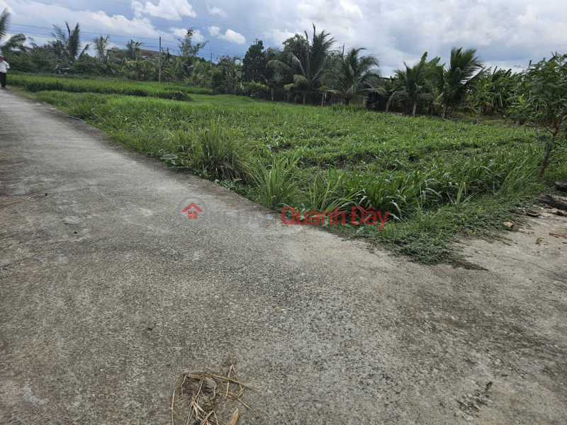 Property Search Vietnam | OneDay | Nhà ở | Niêm yết bán | Cơ hội sở hữu đất thổ cư trung tâm An Lục Long – Châu Thành – Tây Ninh (Long An cũ)