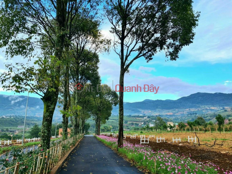 BEAUTIFUL LAND - GOOD PRICE - Owner Needs To Sell Land Lot Next To Da Lat In Dong Thanh Commune, Lam Ha Sales Listings
