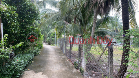 Land for sale in An Son, 686m², Residential land 200m², Price 6.311 billion _0