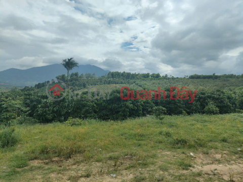 Coffee plantation for sale in Hra, 3 hectares, 4,000 coffee trees, with a farmhouse, near the Quy Nhon-Pleiku expressway, price 5.4 billion VND. _0