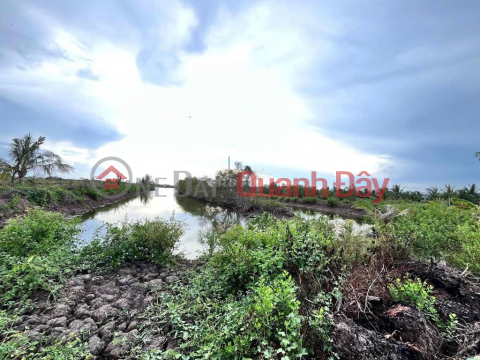 Adjacent, square-shaped land plots with street frontage in Hamlet 2, Cai Doi Vam Town, Phu Tan District, Ca Mau Province _0