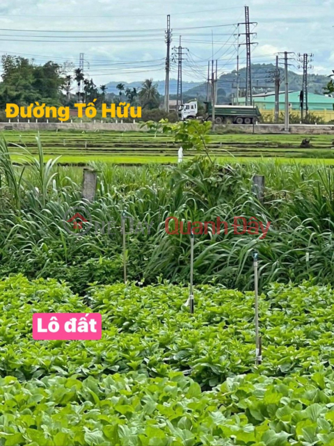 CHÍNH CHỦ CẦN BÁN NHANH Lô Đất Đẹp tại TP Buôn Ma Thuột , tỉnh Đắk Lắk _0