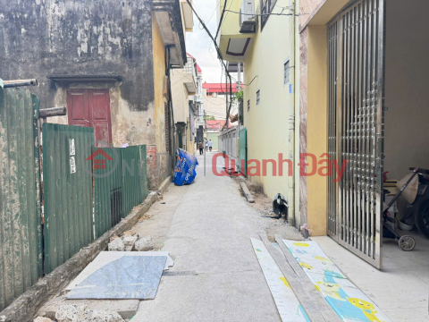 Land for sale in Dai Do village, Vong La, Dong Anh. Three steps to Bac Thang Long Industrial Park _0