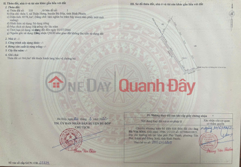 BÁN RẪY CAO SU CẠO NĂM THỨ 2, 8,3 SÀO 2 TỶ _0