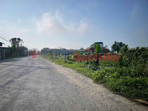 PRIME LAND – GOOD PRICE – OWNER SELLING LAND in Hung My Commune, Hung Nguyen District, Nghe An Province _0