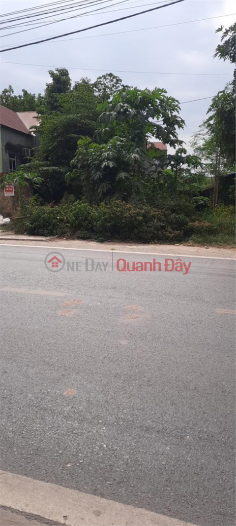 EXTREMELY RARE: a single lot right at Buffalo Bridge, Ba Hang Ward, Pho Yen City, nearly 200m Ful residential land right on 261 Kinh Street _0