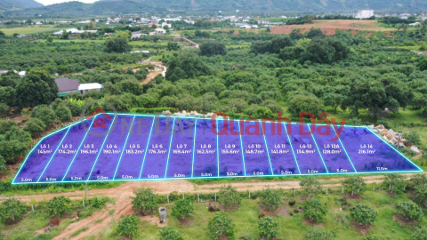 Cam Lam Khanh Hoa land – 128m² full residential land, near National Highway 1A, standard legal _0