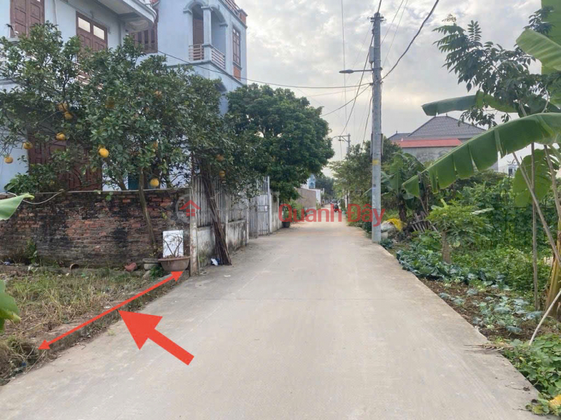 Bán đất thôn Ấp Tre, xã Quang Minh, thành phố Hà Nội. Gần KCN và trường CD Y Dược Tuệ Tĩnh Niêm yết bán