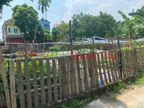 FOR SALE 62M OF LAND KHE NU, NGUYEN KHE - TRUCK ROAD - PINE LANE - 2 OPEN SIDE - CHEAP PRICE _0