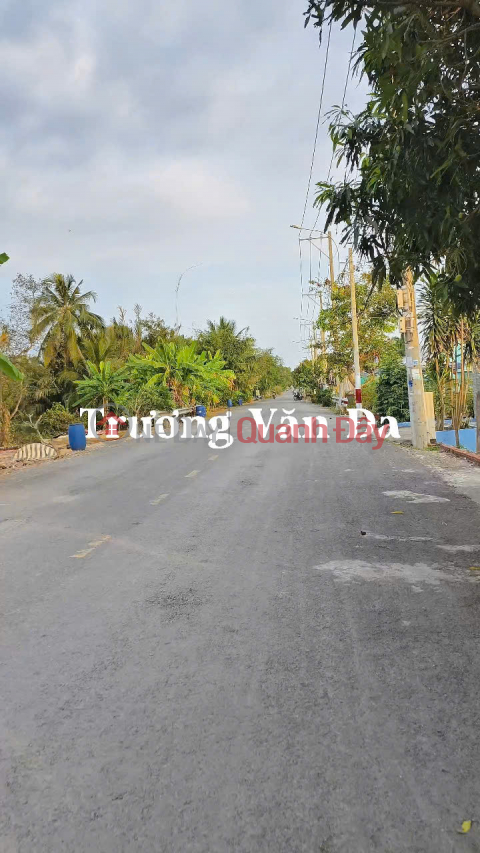 (6) Selling frontage land, 1,540m2; 2,812m2; 3,303m2; 5,138m2; 10,700m2 at low price; with residential land, Binh Chanh _0