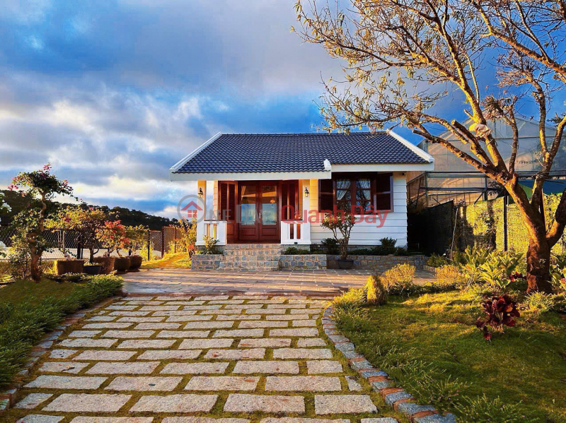 Villa with garden for rent, fully furnished, price 16 million VND, Mang Lin, Da Lat, Lam Dong. Rental Listings
