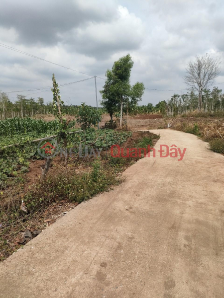 Property Search Vietnam | OneDay | Residential | Sales Listings, Owner Needs To Sell Land In Beautiful Location In Lam San Commune, Cam My, Dong Nai